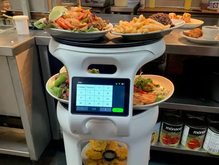 Restaurant Robots